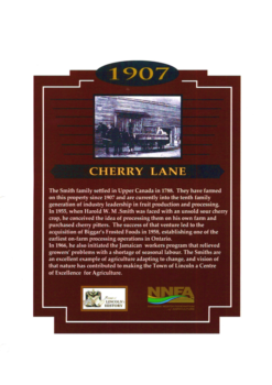 2-08. Cherry Lane